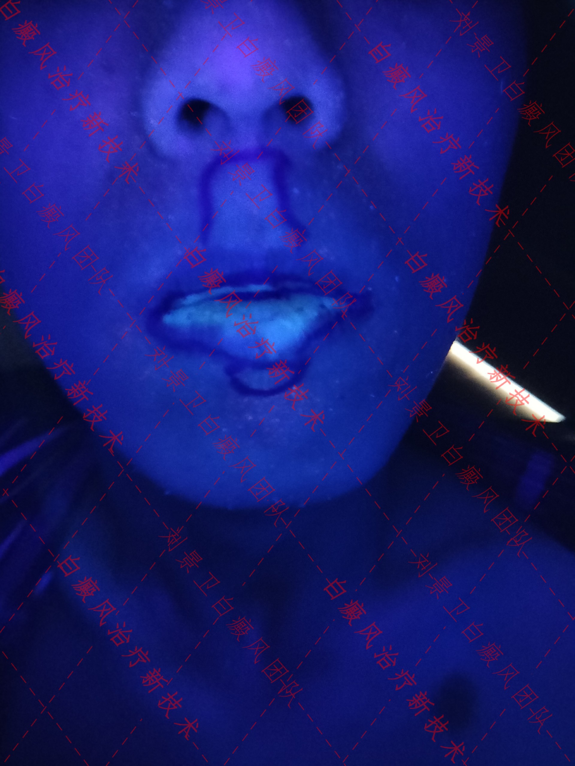 1638440637838549.jpg