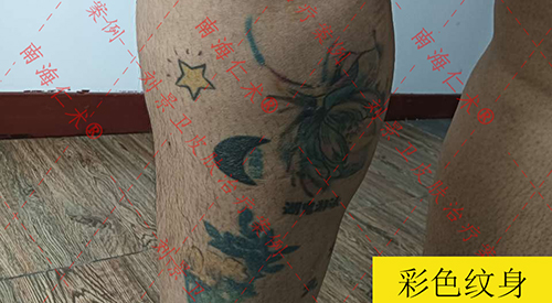 海口仁术皮肤.jpg