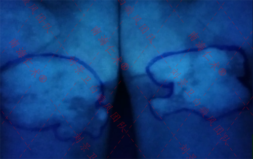 0d23a31c52cddc54a99a0b8d34785f9.png