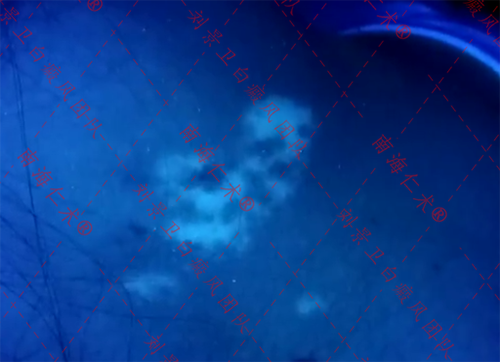 海口仁术白癜风.png