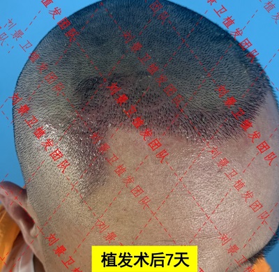 微信截图_20240103113743.png