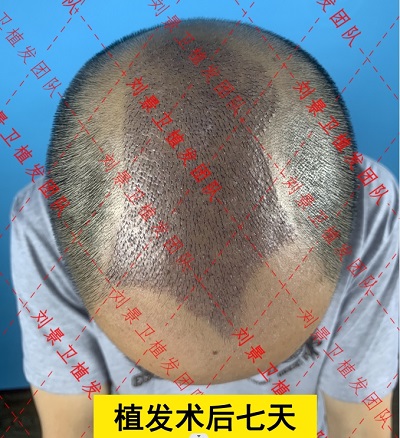 微信截图_20240416162307.png
