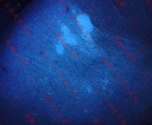 IMG20240510132315.jpg